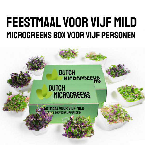 Festin pour cinq - Boîte durable Microgreens pour cinq personnes