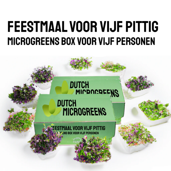 Festmahl für fünf pikante Nachhaltige Microgreens Box für fünf Personen