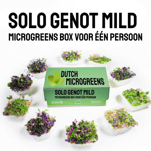groene doos met duurzame microgreens - SOLO GENOT MILD - DUTCH MICROGREENS