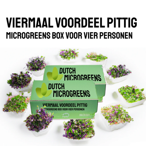 Viermaal Voordeel pittig Duurzame Microgreens Box voor vier Personen
