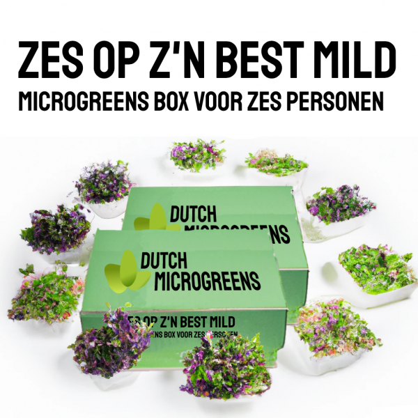 Zes op Z'n Best - Duurzame Microgreens Box voor Zes Personen