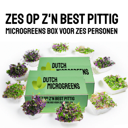 Zes op Z'n Best pittig duurzame Microgreens Box voor zes Personen